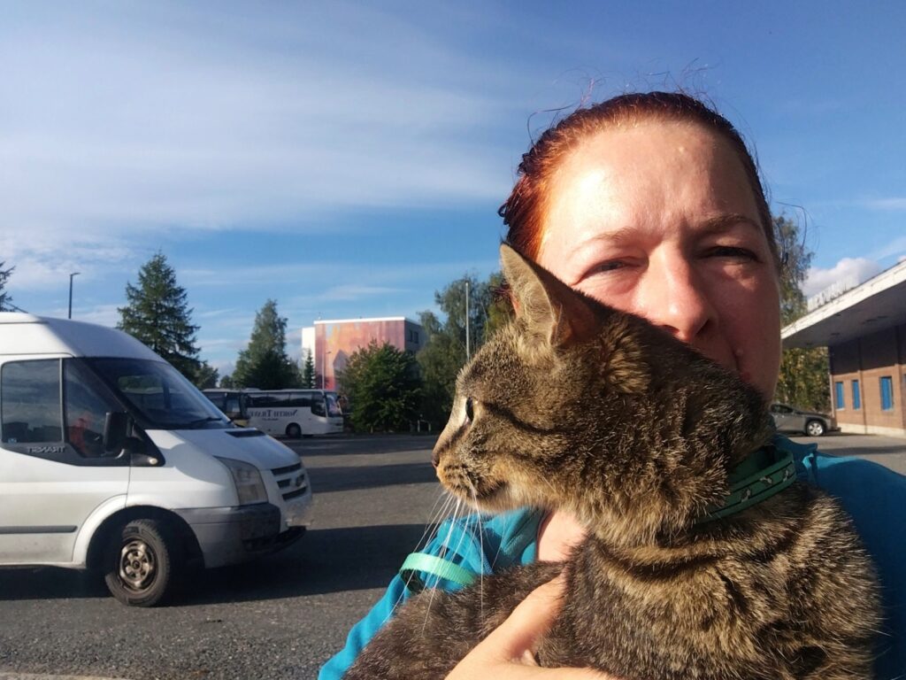 Relocating cat from Ukraine to Finland