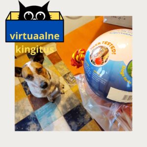 Virtuaalne kingitus -mänguasi varjupaiga koerale