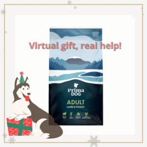 virtual gift animal shelter