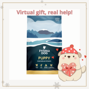 puppy food foor shelter